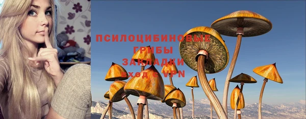 мдпв Арсеньев